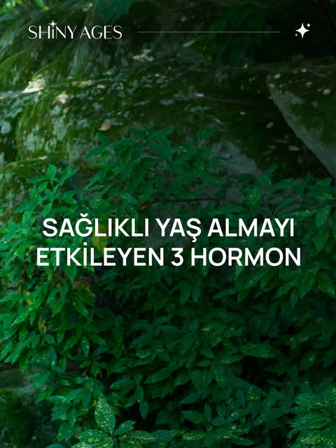 Sağlıklı Yaş Almayı Etkileyen 3 Hormon